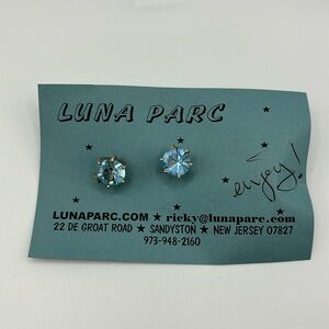 Luna parc Earrings